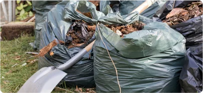 Garden Clearance
